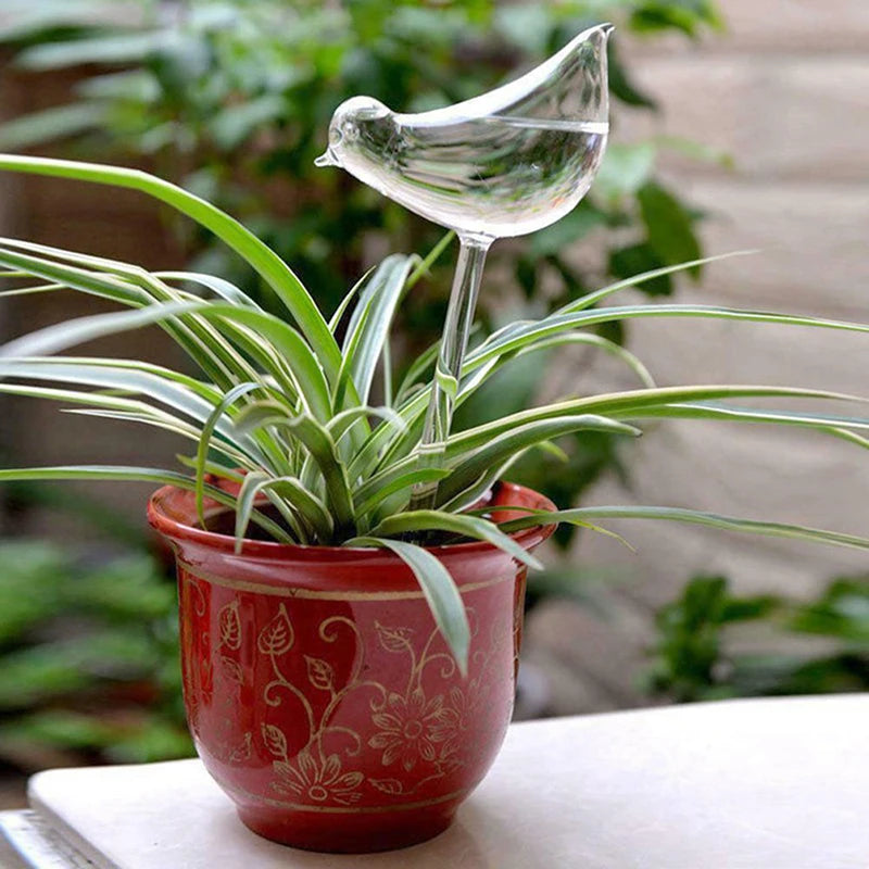 Plant Watering Globes