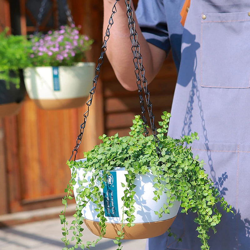 Self Watering Hanging Baskets