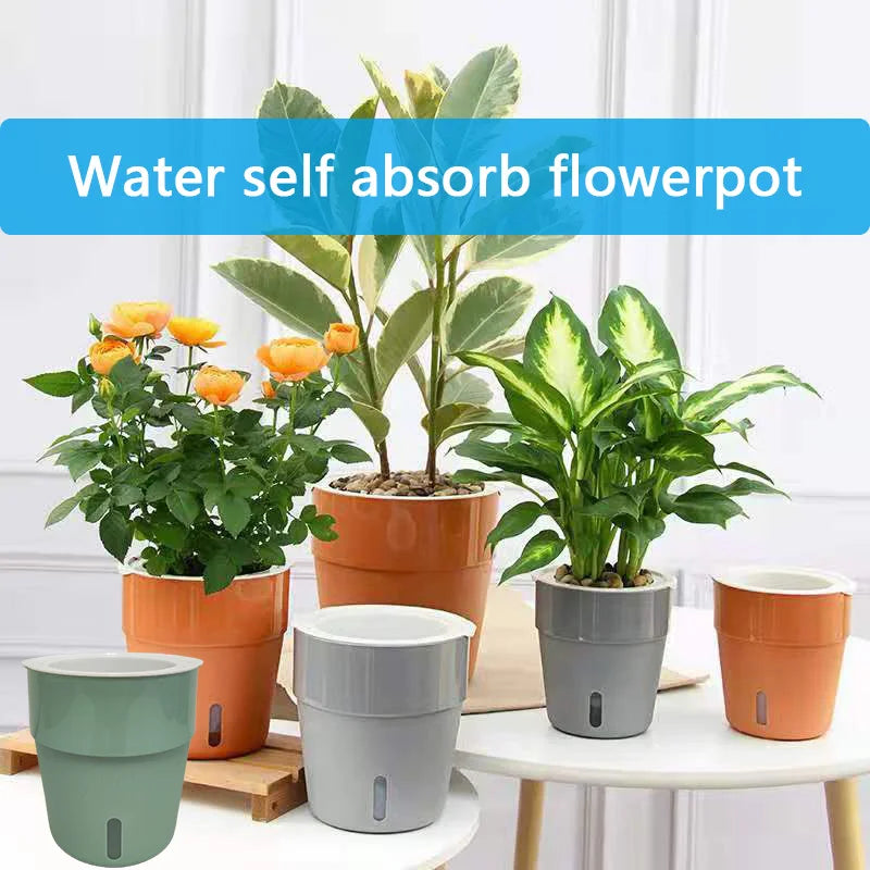 Small Self Watering Pots