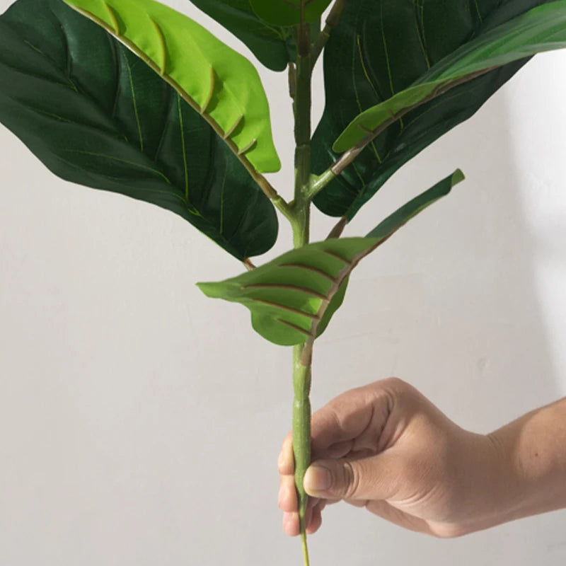 Easy Plant Fiddle Leaf Fig