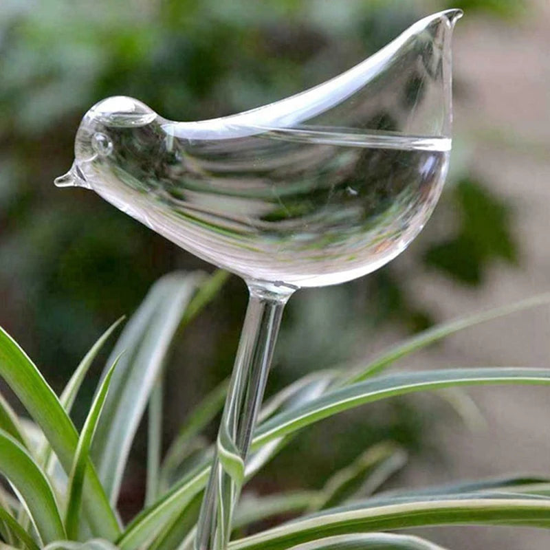 Plant Watering Globes