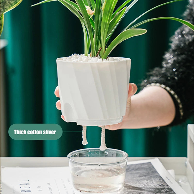 Self Watering Pots for Indoor Plants