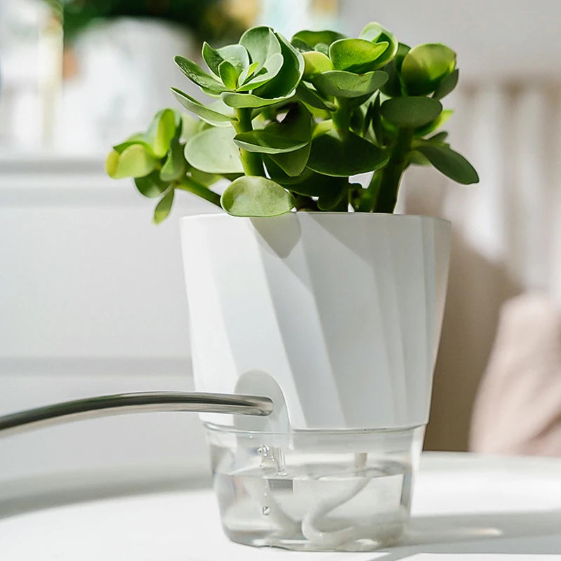 Self Watering Pots for Indoor Plants